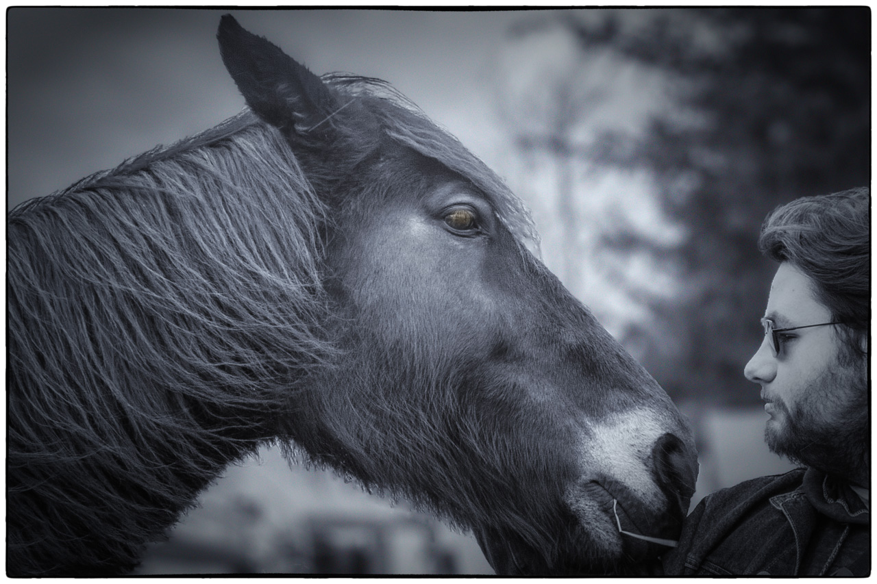 Realistic Comp In Class B By Sandy O'Hare For Matt And Mo MAY-2019.jpg